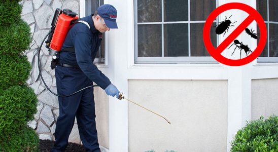 Kadışehri Böcek İlaçlama böcek ilaçlama ve haşere kontrolü — ilaclama-tr.com
